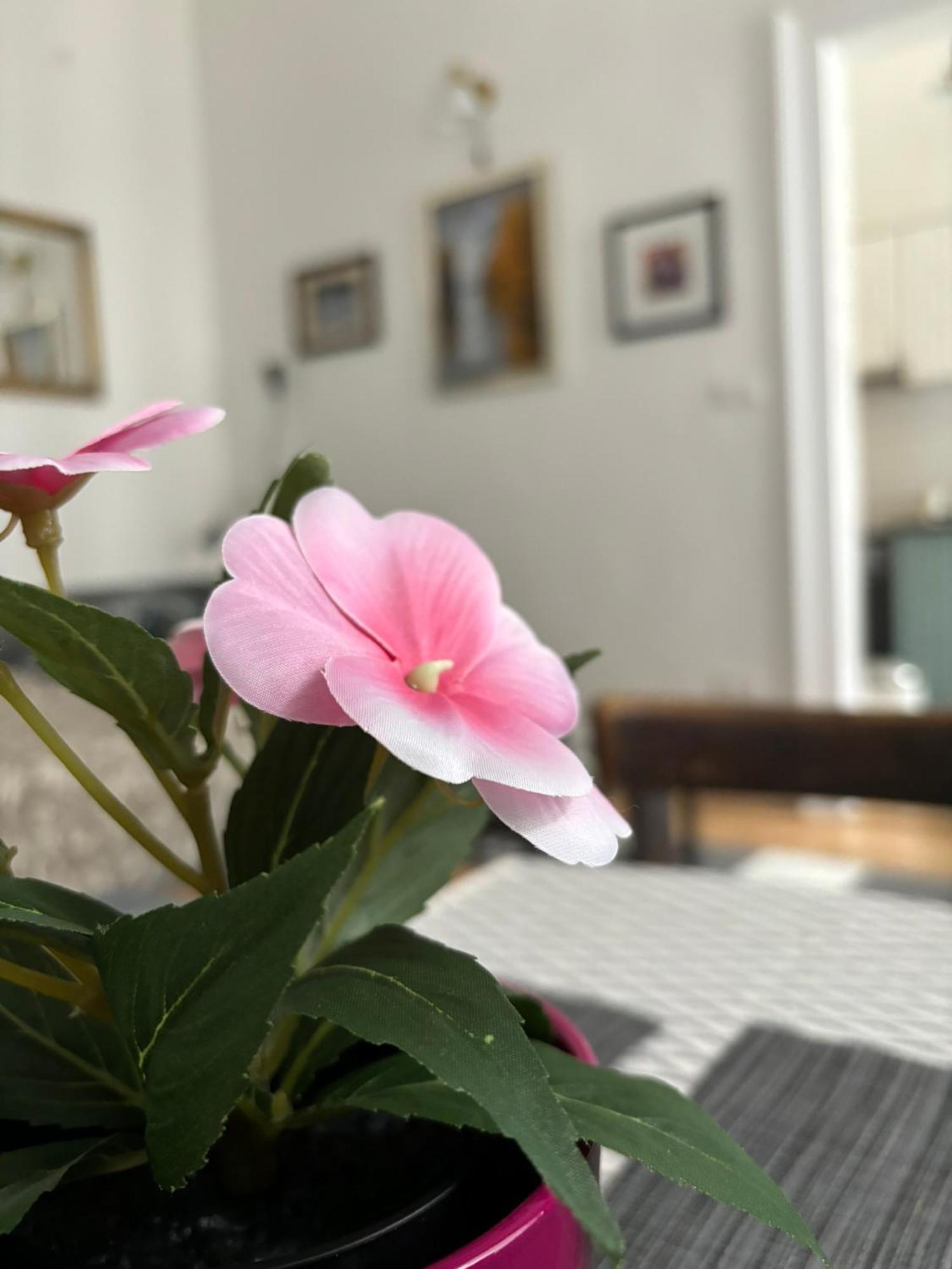 Kiraly Utca 15 Cozy Studio Budapešť Exteriér fotografie